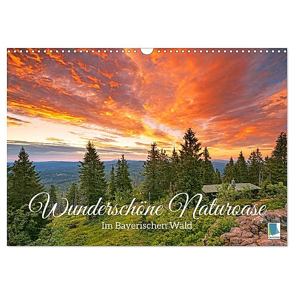 Wunderschöne Naturoase: Im Bayerischen Wald (Wandkalender 2024 DIN A3 quer), CALVENDO Monatskalender, Calvendo