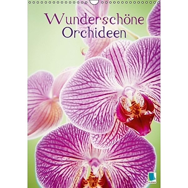 Wunderschöne Orchideen (Wandkalender 2015 DIN A3 hoch), Calvendo