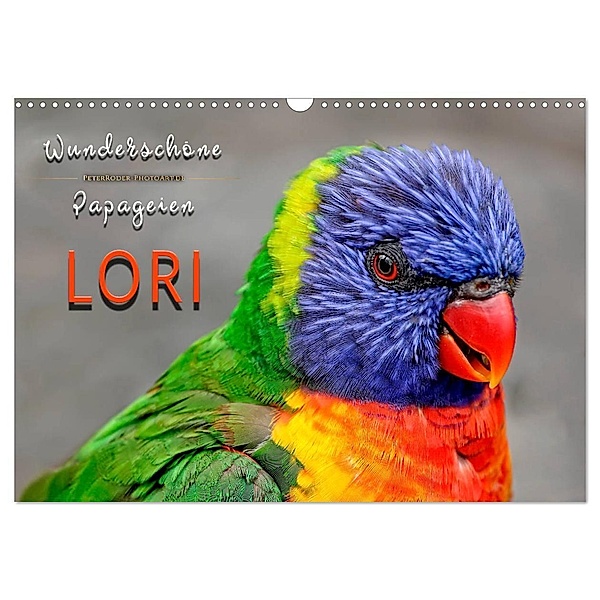 Wunderschöne Papageien - Lori (Wandkalender 2024 DIN A3 quer), CALVENDO Monatskalender, Peter Roder
