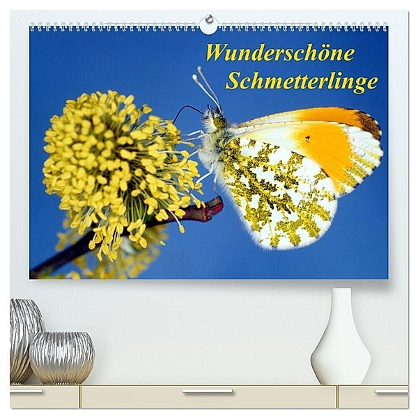 Wunderschöne Schmetterlinge (hochwertiger Premium Wandkalender 2024 DIN A2 quer), Kunstdruck in Hochglanz, lothar reupert