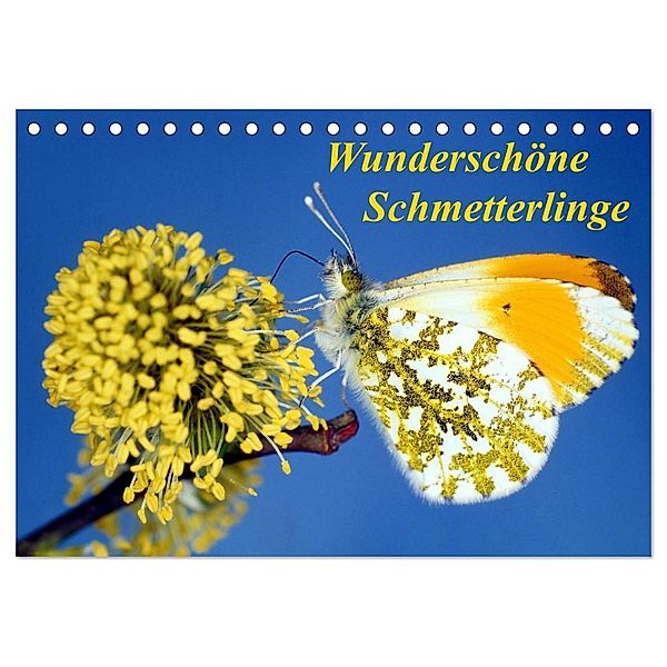 Wunderschöne Schmetterlinge (Tischkalender 2024 DIN A5 quer), CALVENDO Monatskalender, lothar reupert