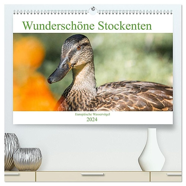 Wunderschöne Stockenten - Europäische Wasservögel (hochwertiger Premium Wandkalender 2024 DIN A2 quer), Kunstdruck in Hochglanz, pixs:sell