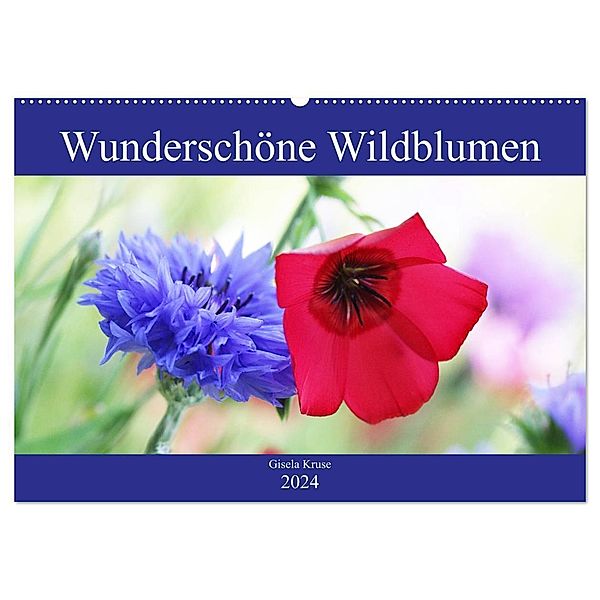 Wunderschöne Wildblumen (Wandkalender 2024 DIN A2 quer), CALVENDO Monatskalender, Gisela Kruse
