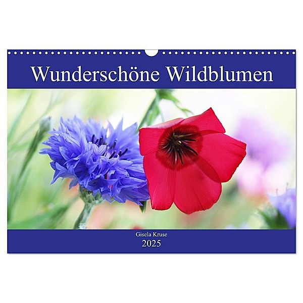 Wunderschöne Wildblumen (Wandkalender 2025 DIN A3 quer), CALVENDO Monatskalender, Calvendo, Gisela Kruse