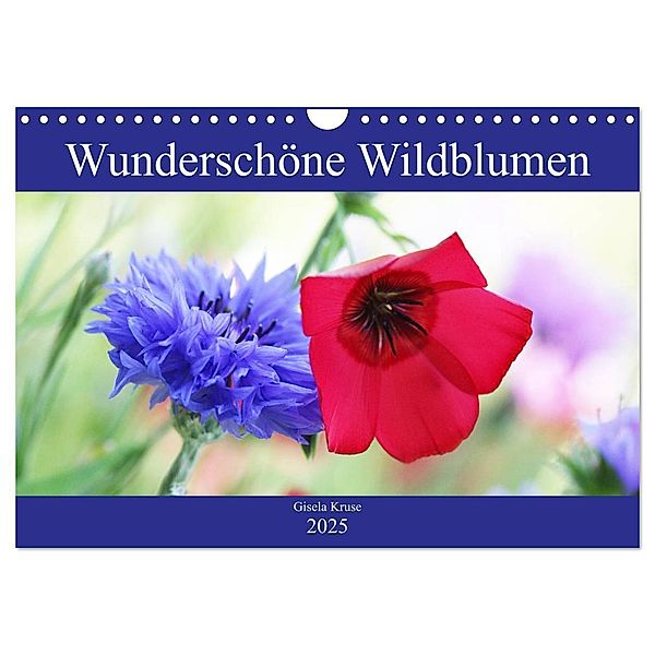Wunderschöne Wildblumen (Wandkalender 2025 DIN A4 quer), CALVENDO Monatskalender, Calvendo, Gisela Kruse
