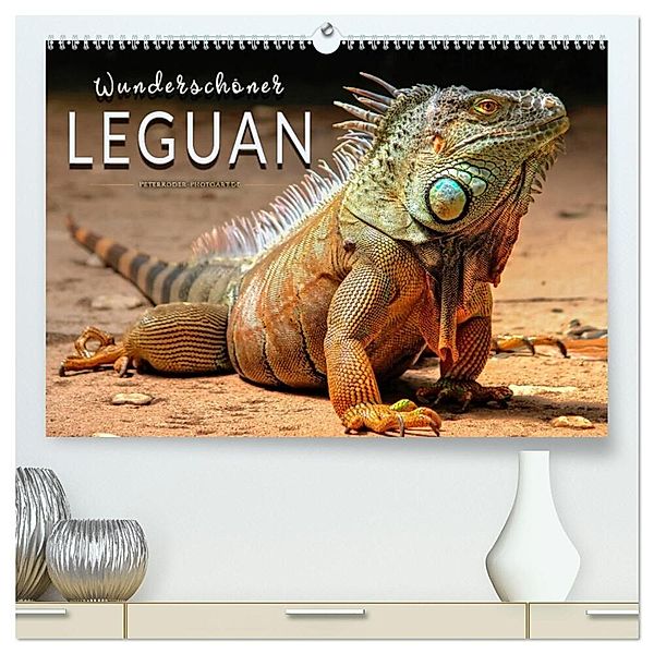 Wunderschöner Leguan (hochwertiger Premium Wandkalender 2024 DIN A2 quer), Kunstdruck in Hochglanz, Peter Roder