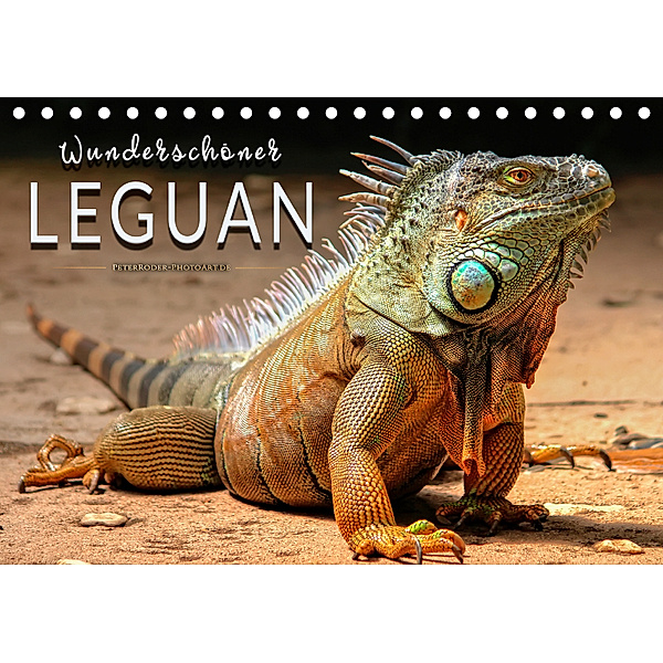 Wunderschöner Leguan (Tischkalender 2019 DIN A5 quer), Peter Roder