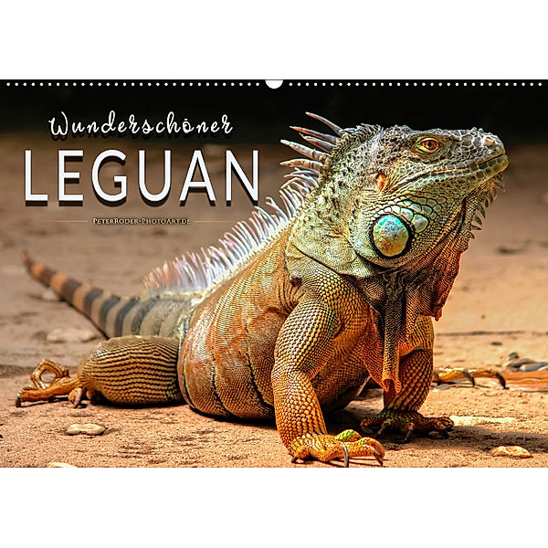 Wunderschöner Leguan (Wandkalender 2019 DIN A2 quer), Peter Roder