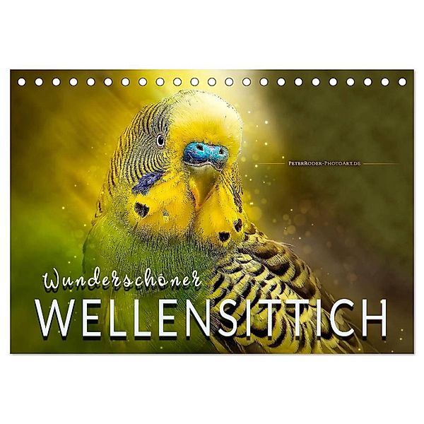 Wunderschöner Wellensittich (Tischkalender 2024 DIN A5 quer), CALVENDO Monatskalender, Peter Roder