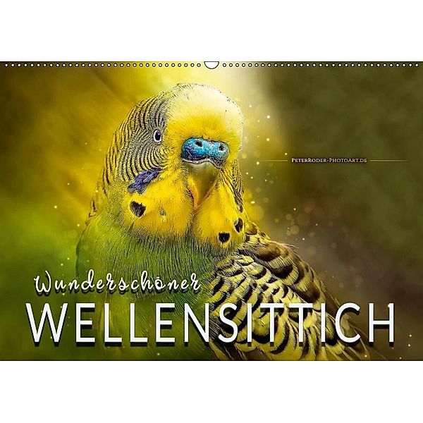 Wunderschöner Wellensittich (Wandkalender 2019 DIN A2 quer), Peter Roder