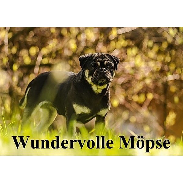 Wundervolle Möpse (Tischaufsteller DIN A5 quer), Yvonne Obermüller