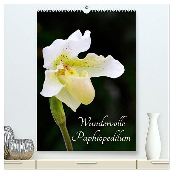 Wundervolle Paphiopedilum (hochwertiger Premium Wandkalender 2024 DIN A2 hoch), Kunstdruck in Hochglanz, Clemens Stenner