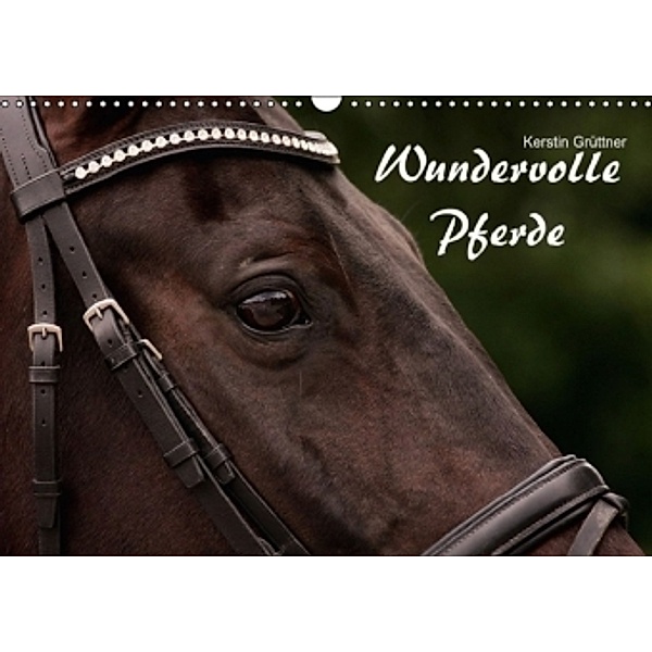 Wundervolle Pferde (Wandkalender 2016 DIN A3 quer), Kerstin Grüttner - Wagenfeld