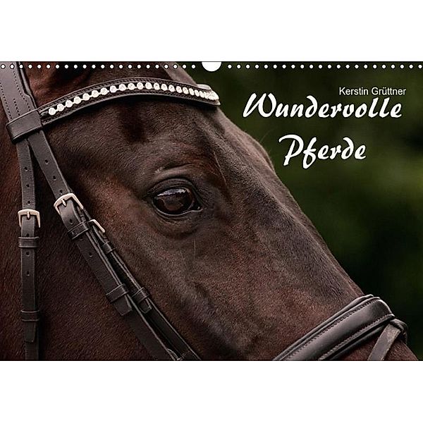 Wundervolle Pferde (Wandkalender 2017 DIN A3 quer), Kerstin Grüttner - Wagenfeld