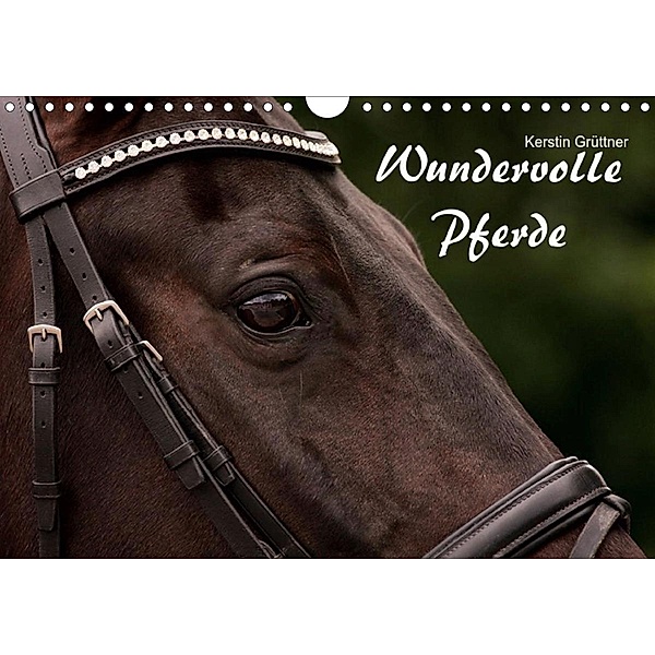 Wundervolle Pferde (Wandkalender 2020 DIN A4 quer), Kerstin Grüttner - Wagenfeld