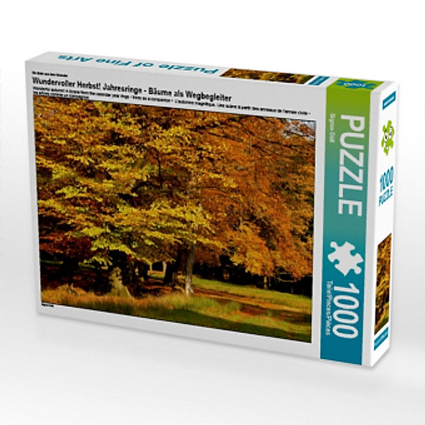 Wundervoller Herbst! Ein Motiv aus dem Kalender Jahresringe - Bäume als Wegbegleiter (Puzzle), Sigrun Düll