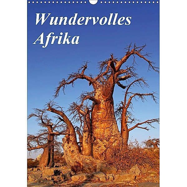 Wundervolles Afrika (Wandkalender 2020 DIN A3 hoch), Wibke Woyke
