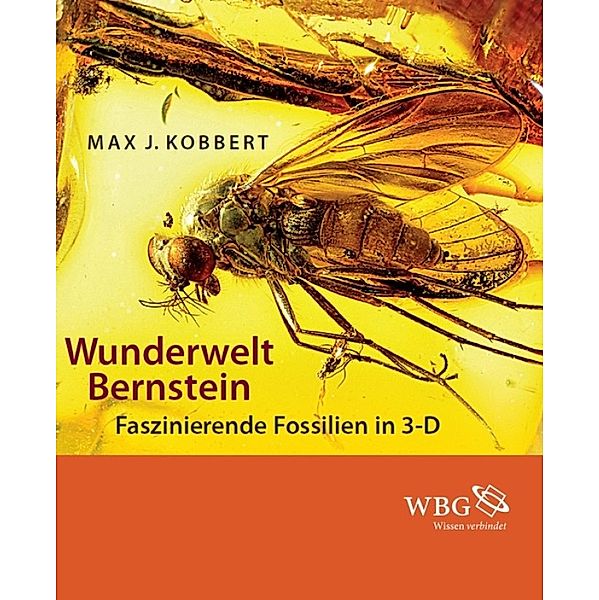 Wunderwelt Bernstein, Max J. Kobbert