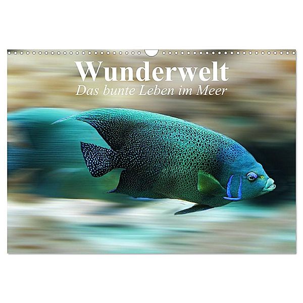 Wunderwelt. Das bunte Leben im Meer (Wandkalender 2024 DIN A3 quer), CALVENDO Monatskalender, Elisabeth Stanzer