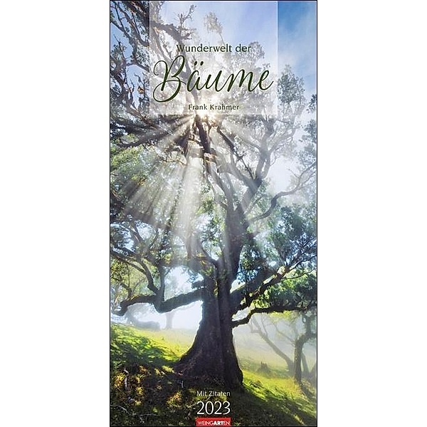 Wunderwelt der Bäume Kalender 2023. Baum-Fotos durch alle Jahreszeiten in einem länglichen Kalender. Jahres-Wandkalender, Frank Krahmer