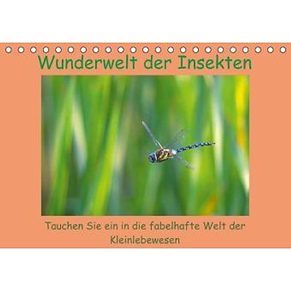 Wunderwelt der Insekten (Tischkalender 2015 DIN A5 quer), Lutz Klapp