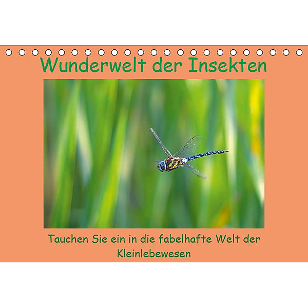 Wunderwelt der Insekten (Tischkalender 2019 DIN A5 quer), Lutz Klapp