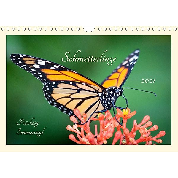 Wunderwelt der Schmetterlinge 2021 Prächtige SommervögelCH-Version (Wandkalender 2021 DIN A4 quer), Lebensfreude Innere Stärke