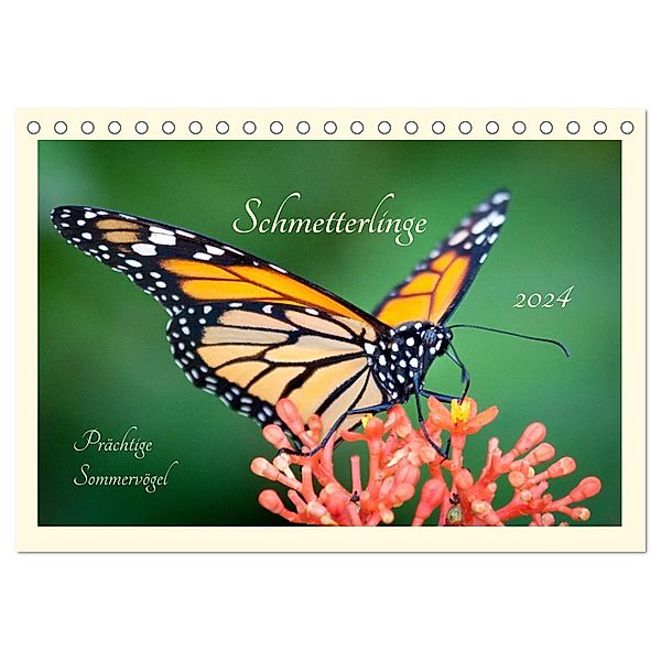 Wunderwelt der Schmetterlinge 2024 Prächtige Sommervögel (Tischkalender 2024 DIN A5 quer), CALVENDO Monatskalender, Lebensfreude Innere Stärke