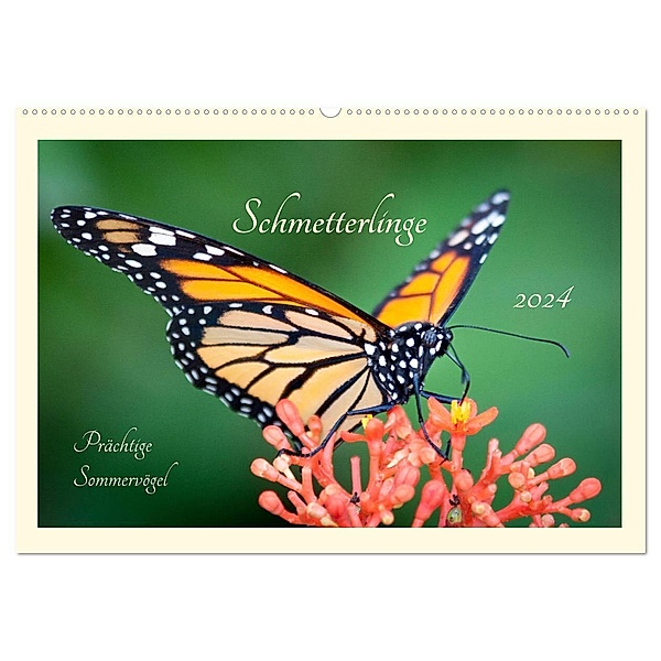 Wunderwelt der Schmetterlinge 2024 Prächtige Sommervögel (Wandkalender 2024 DIN A2 quer), CALVENDO Monatskalender, Lebensfreude Innere Stärke