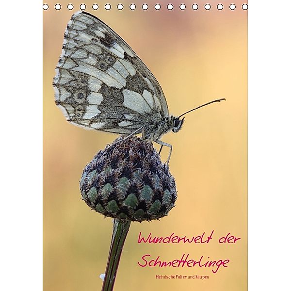 Wunderwelt der Schmetterlinge (Tischkalender 2018 DIN A5 hoch), Andreas Rinke