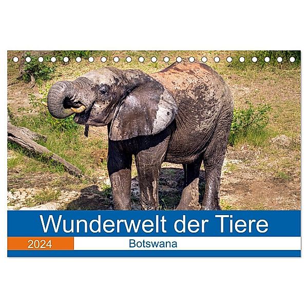 Wunderwelt der Tiere - Botswana (Tischkalender 2024 DIN A5 quer), CALVENDO Monatskalender, Dirk Fritsche (Five-Birds Photography - www.5bp.de)