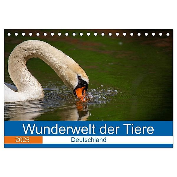 Wunderwelt der Tiere - Deutschland (Tischkalender 2025 DIN A5 quer), CALVENDO Monatskalender, Calvendo, Dirk Fritsche (Five-Birds Photography - www.5bp.de)
