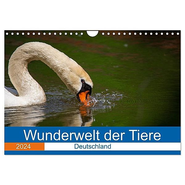 Wunderwelt der Tiere - Deutschland (Wandkalender 2024 DIN A4 quer), CALVENDO Monatskalender, Dirk Fritsche (Five-Birds Photography - www.5bp.de)