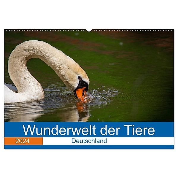 Wunderwelt der Tiere - Deutschland (Wandkalender 2024 DIN A2 quer), CALVENDO Monatskalender, Dirk Fritsche (Five-Birds Photography - www.5bp.de)