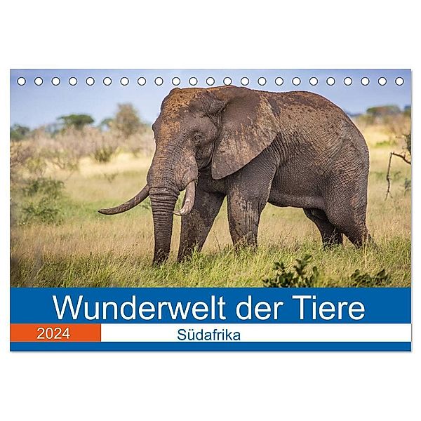 Wunderwelt der Tiere - Südafrika (Tischkalender 2024 DIN A5 quer), CALVENDO Monatskalender, Dirk Fritsche (Five-Birds Photography - www.5bp.de)