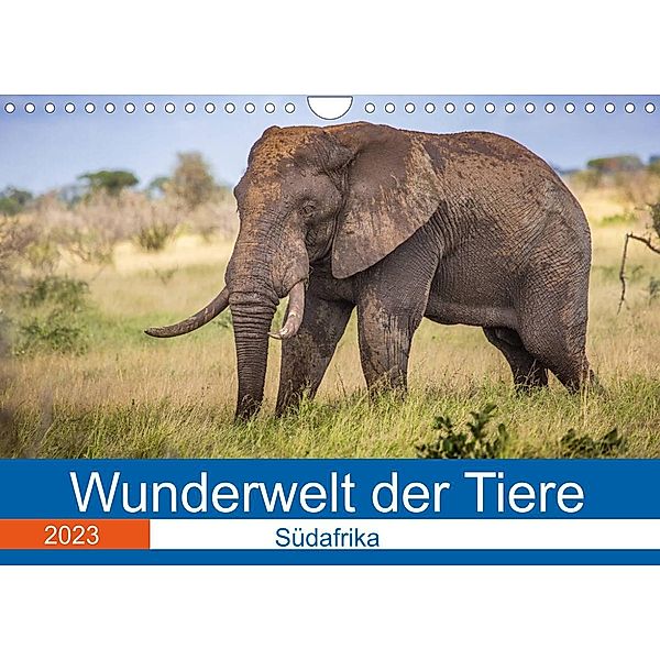 Wunderwelt der Tiere - Südafrika (Wandkalender 2023 DIN A4 quer), Dirk Fritsche (Five-Birds Photography - www.5bp.de)
