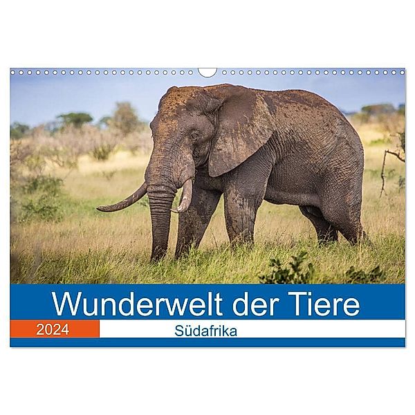 Wunderwelt der Tiere - Südafrika (Wandkalender 2024 DIN A3 quer), CALVENDO Monatskalender, Dirk Fritsche (Five-Birds Photography - www.5bp.de)