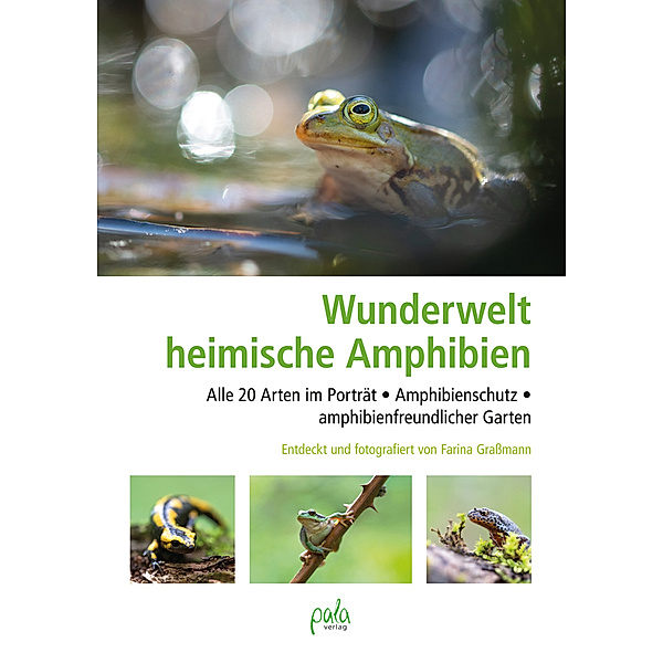 Wunderwelt heimische Amphibien, Farina Grassmann