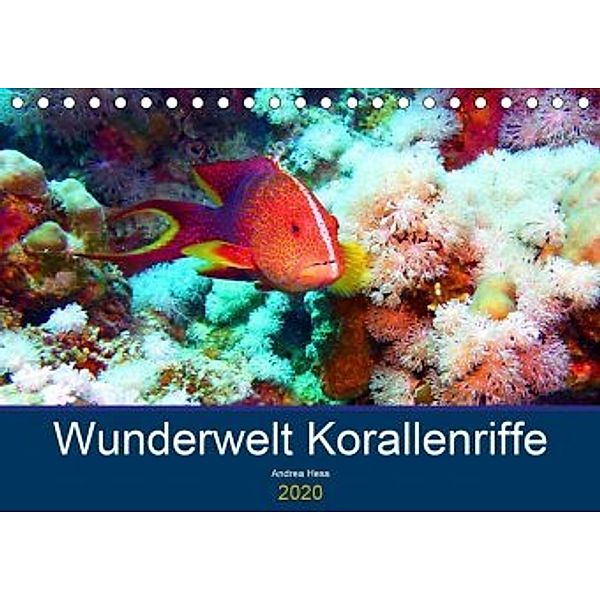 Wunderwelt Korallenriffe (Tischkalender 2020 DIN A5 quer), Andrea Hess