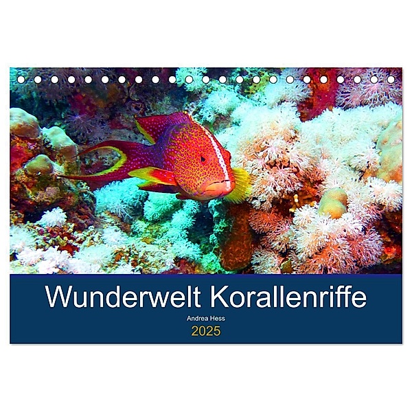 Wunderwelt Korallenriffe (Tischkalender 2025 DIN A5 quer), CALVENDO Monatskalender, Calvendo, Andrea Hess