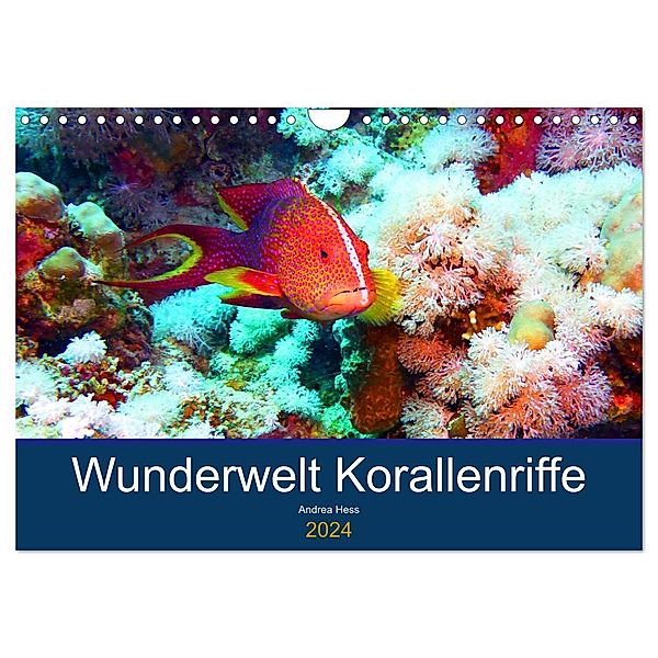 Wunderwelt Korallenriffe (Wandkalender 2024 DIN A4 quer), CALVENDO Monatskalender, Andrea Heß