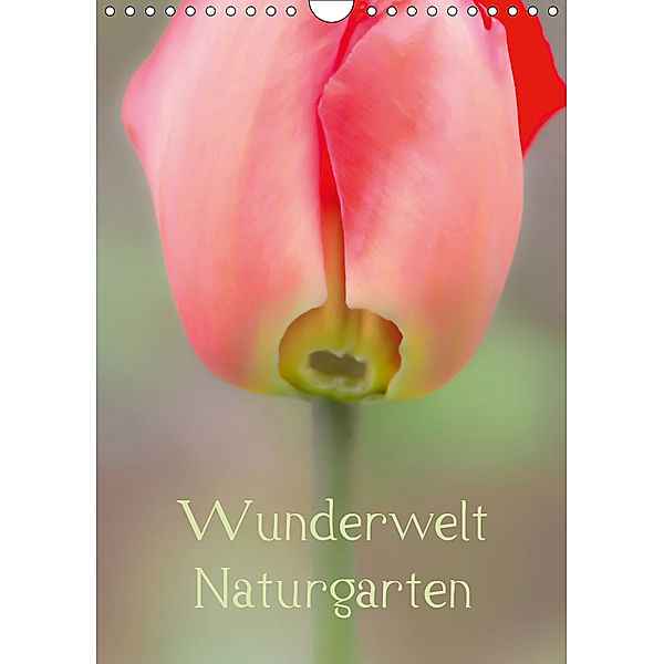 Wunderwelt Naturgarten (Wandkalender 2019 DIN A4 hoch), Erwin Renken