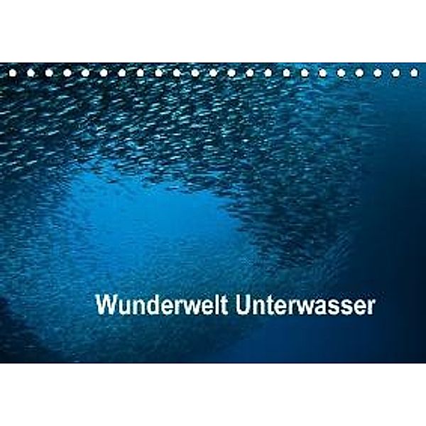 Wunderwelt Unterwasser (Tischkalender 2015 DIN A5 quer), Dieter Gödecke