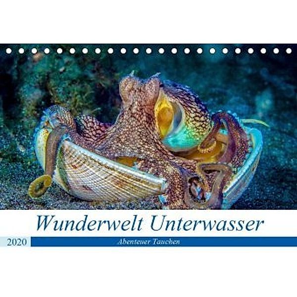 Wunderwelt Unterwasser (Tischkalender 2020 DIN A5 quer), Dieter Gödecke