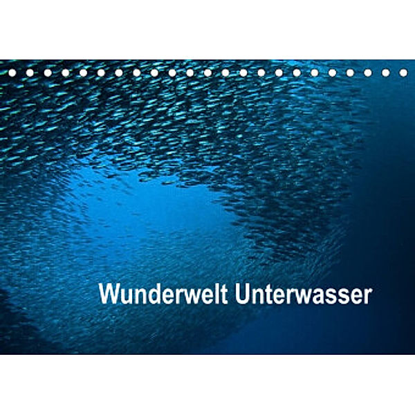 Wunderwelt Unterwasser (Tischkalender 2022 DIN A5 quer), Dieter Gödecke