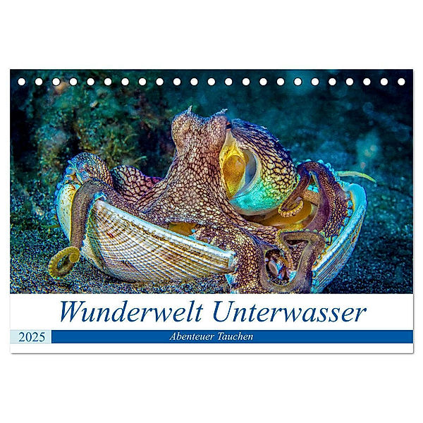 Wunderwelt Unterwasser (Tischkalender 2025 DIN A5 quer), CALVENDO Monatskalender, Calvendo, Dieter Gödecke