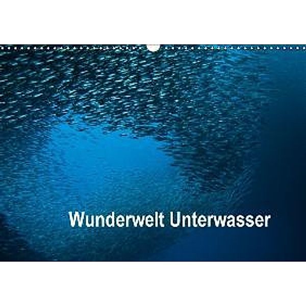 Wunderwelt Unterwasser (Wandkalender 2015 DIN A3 quer), Dieter Gödecke