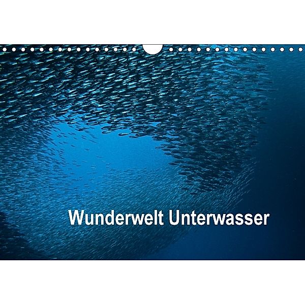 Wunderwelt Unterwasser (Wandkalender 2018 DIN A4 quer), Dieter Gödecke