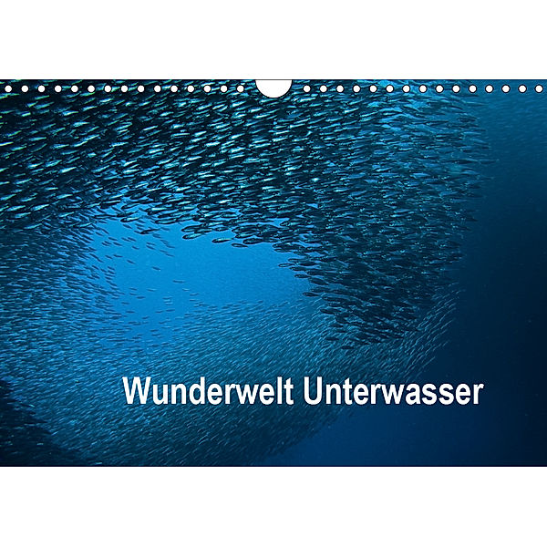 Wunderwelt Unterwasser (Wandkalender 2019 DIN A4 quer), Dieter Gödecke