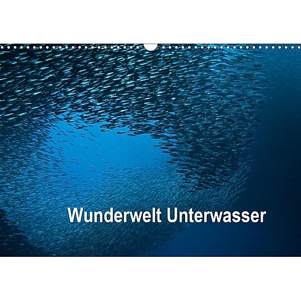 Wunderwelt Unterwasser (Wandkalender 2021 DIN A3 quer), Dieter Gödecke